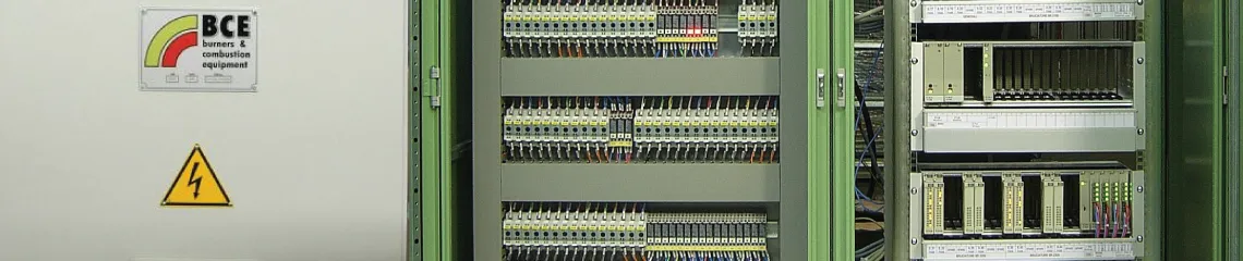 Burner management system control cabinet with wired terminal strips